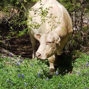 Meet your Posher, Brenda